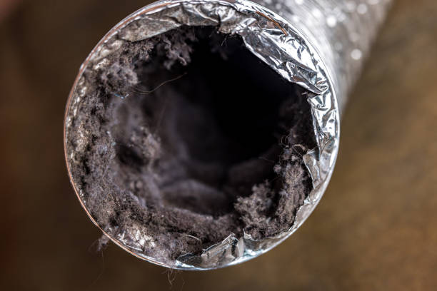 Air Duct Mold Removal in MN